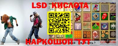 прущие грибы Комсомольск-на-Амуре