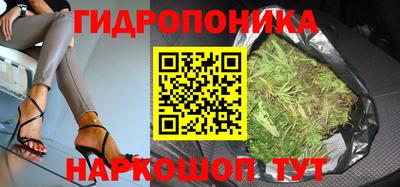 прущие грибы Комсомольск-на-Амуре