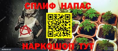 прущие грибы Комсомольск-на-Амуре