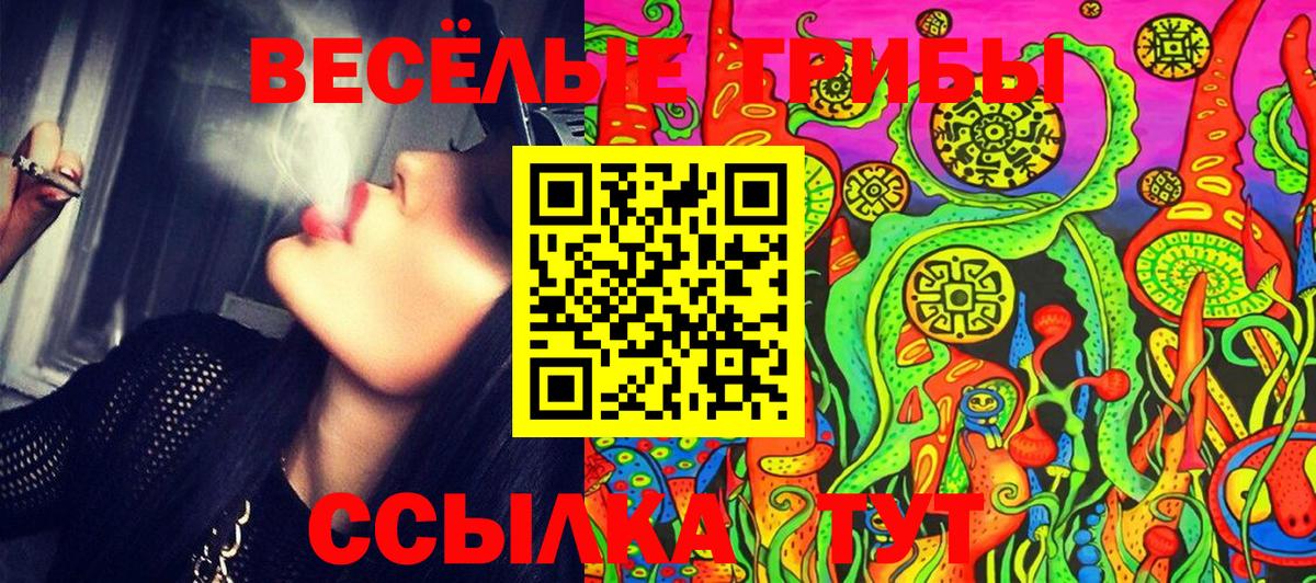 Галлюциногенные грибы мицелий Карачаевск