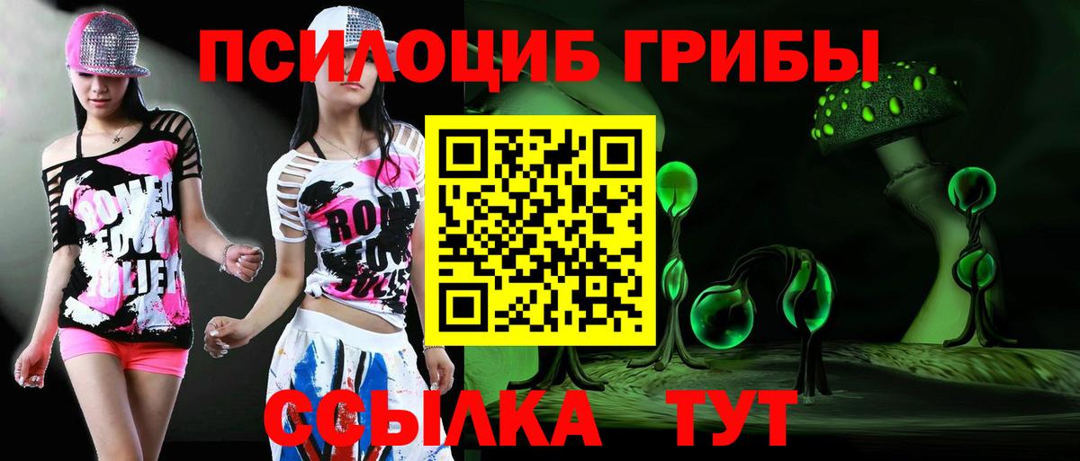 Галлюциногенные грибы GOLDEN TEACHER  Вход с VPN  Карачаевск  Галлюциногенные грибы ЛСД 